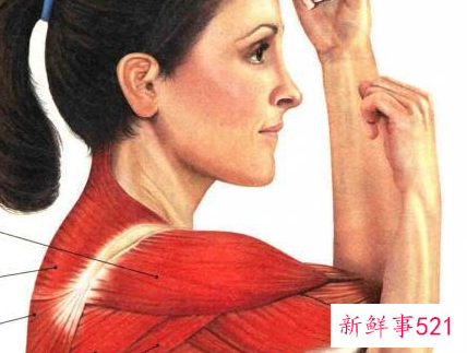 肩部最好的拉伸动作
