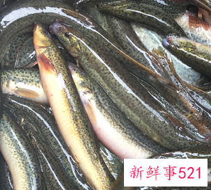 身体虚弱吃什么补充营养