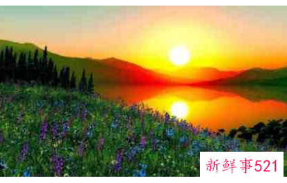 孕妇梦见叶子茂盛