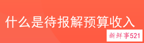待报解预算收入是什么意思