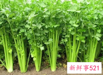 绿豆的最佳搭配