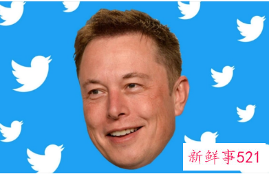 马斯克宣布将终止收购推特