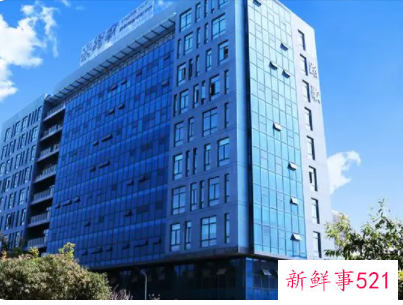 公司无财产可执行法人