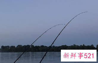 鱼塘钓位选择口诀