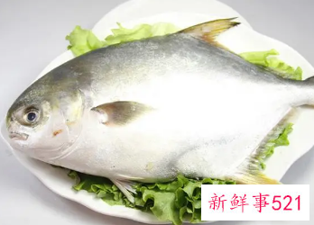 鲳鱼和什么食物相克