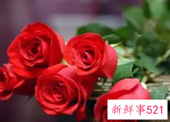 元旦送啥礼物给女朋友