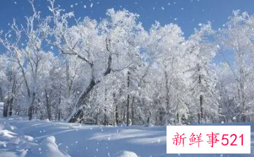 梦见大雪纷飞有哪些征兆