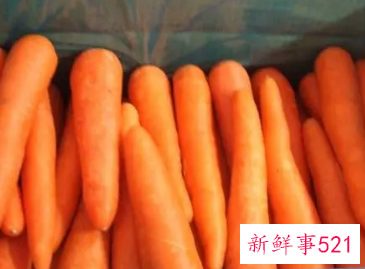 大量胡萝卜保鲜方法