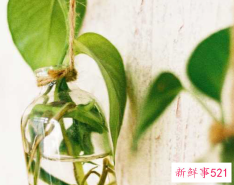 属猴的什么时辰出生最好命