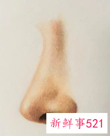 怎样让鼻子变挺