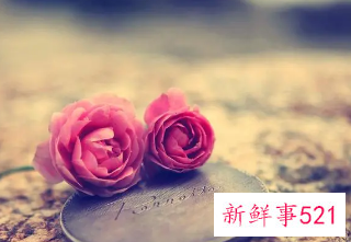 什么数字代表喜欢