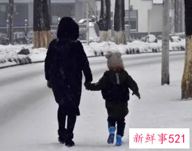 梦见在雪中行走