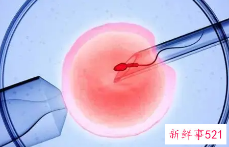 弱精症能做试管婴儿吗