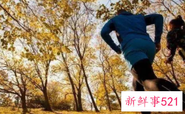 适合秋季的运动