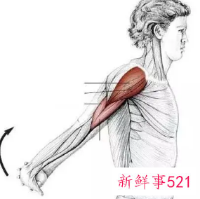 肩部最好的拉伸动作