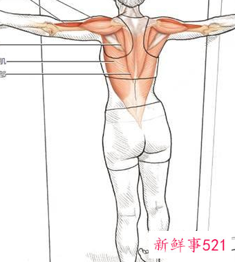 肩部最好的拉伸动作