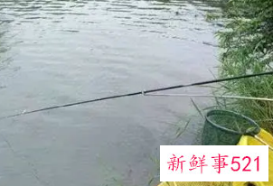 鱼塘钓位选择口诀