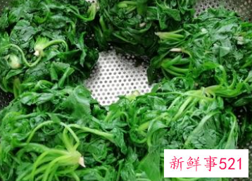 荠菜怎么冷冻才会像新的一样