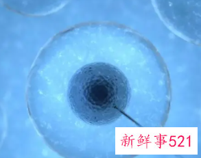 人工受精后有哪些反应