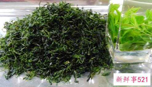 毛冬青茶叶的功效与作用