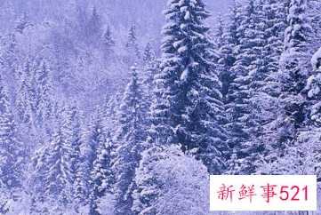 今天可真冷让人感觉到天很冷