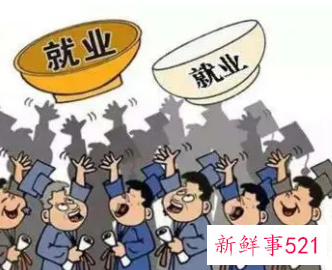 就业表包括什么内容