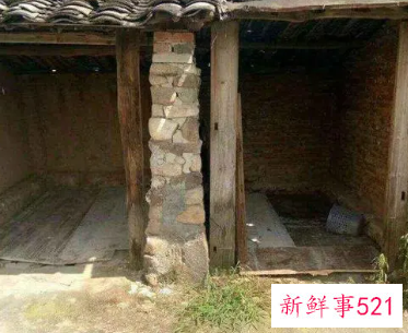 梦见作呕的粪池