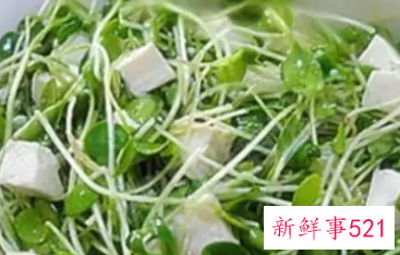 春季时令蔬菜有哪些