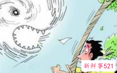 台风怎么预防和自我保护