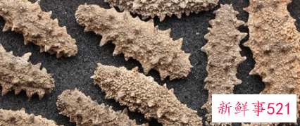 辽参和刺参哪个质量好