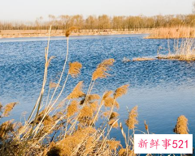 惹女朋友生气了要怎么挽回