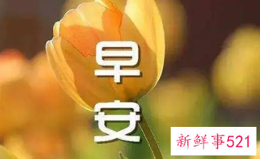 早安温馨暖心问候语