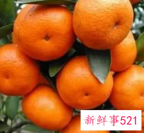 柑橘有哪些功效与作用