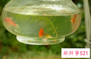 五一适合去哪里玩穷游沈阳