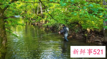 为什么中年男人喜欢钓鱼