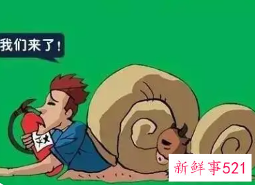 什么星座做事拖拉