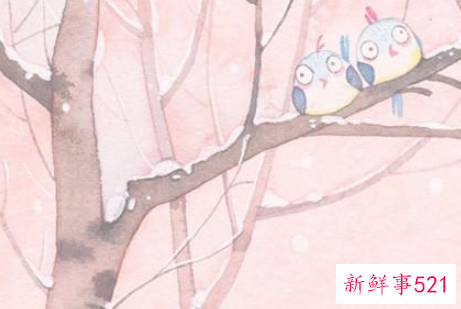 这些星座怎么走出失恋泥潭