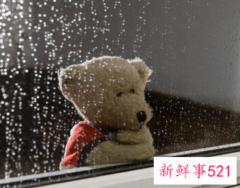 一个人伤感的说说