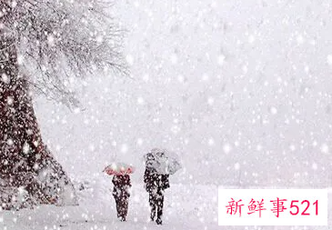 梦见大雪纷飞有哪些征兆