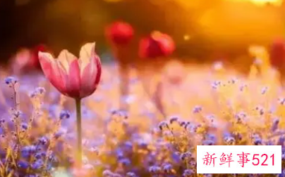 往后余生微信网名