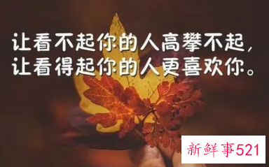 婚姻生活哲理感悟句子