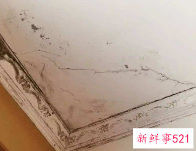 外墙跟湿气重墙皮掉怎么解决