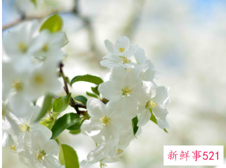 感人肺腑的演讲稿