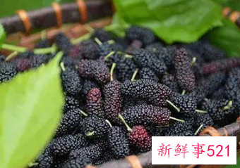 干桑葚怎么吃效果最好