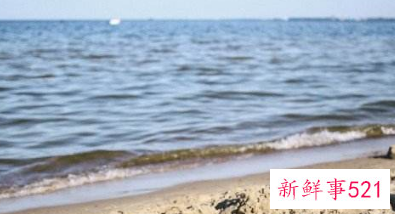 83年大海水命生几月好