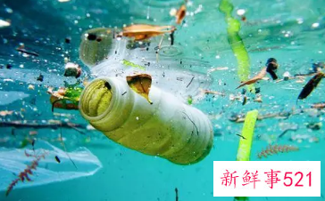 一次性用品污染的危害