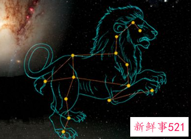 狮子女允许你对她有肢体接触