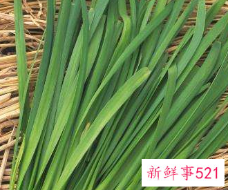 韭莱的功效与作用