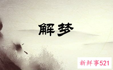 怀孕女人梦见老鼠是胎梦吗