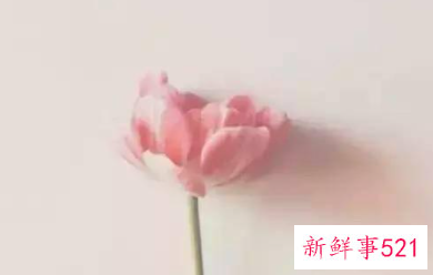 四字真言是哪四个字